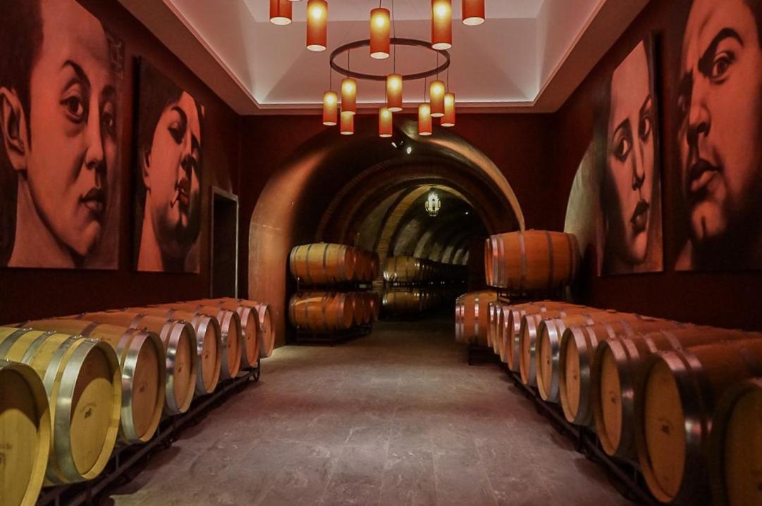Hotel Vinicola Real-200 Monges Albelda De Iregua المظهر الخارجي الصورة