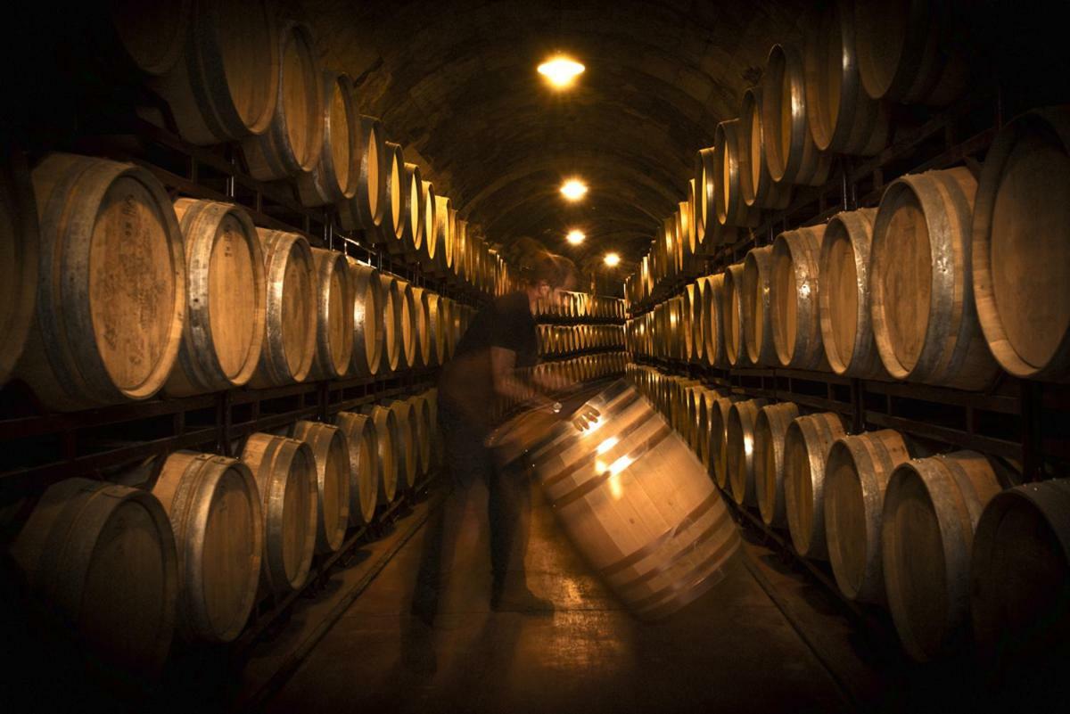 Hotel Vinicola Real-200 Monges Albelda De Iregua المظهر الخارجي الصورة