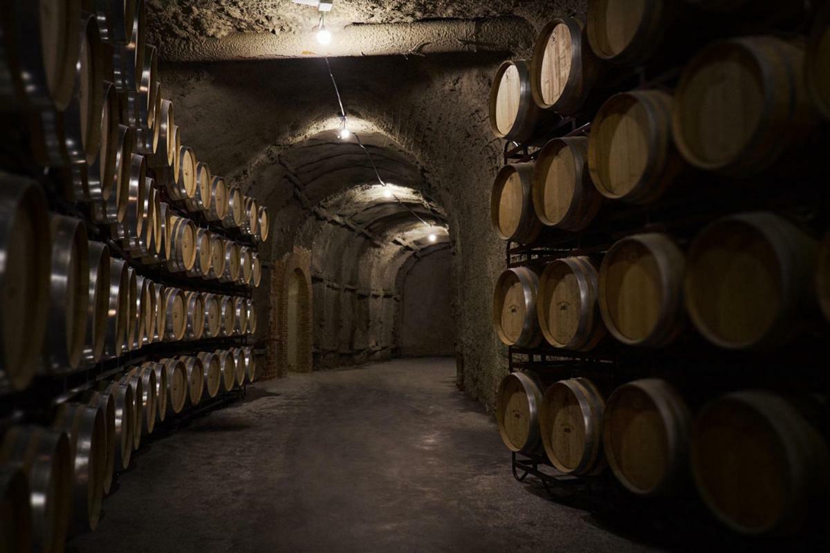 Hotel Vinicola Real-200 Monges Albelda De Iregua المظهر الخارجي الصورة